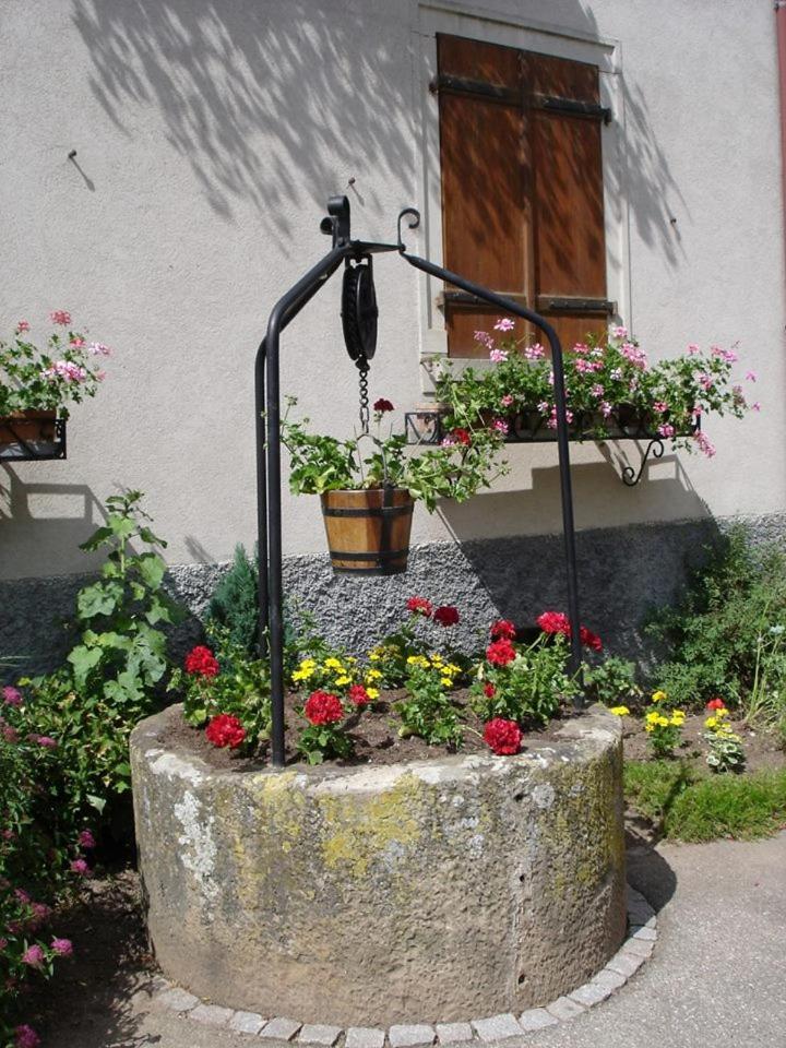 Gite "Le Piemont Des Vosges " Stotzheim Exterior photo