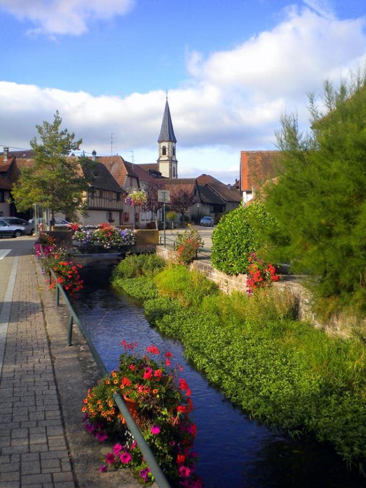 Gite "Le Piemont Des Vosges " Stotzheim Exterior photo