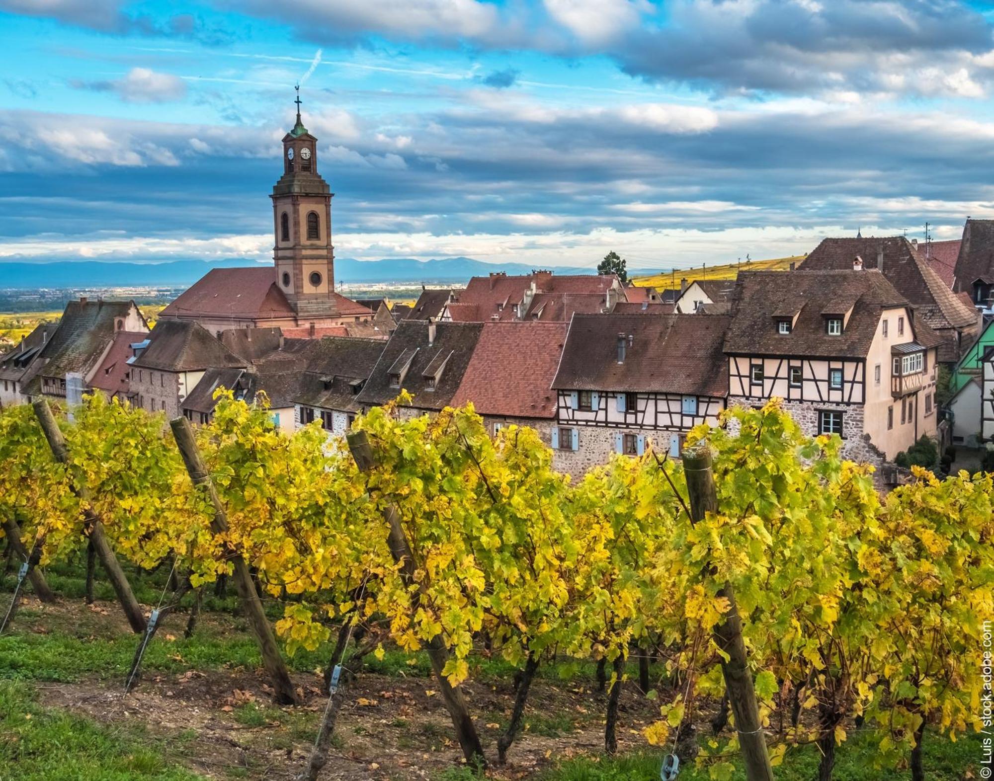 Gite "Le Piemont Des Vosges " Stotzheim Exterior photo