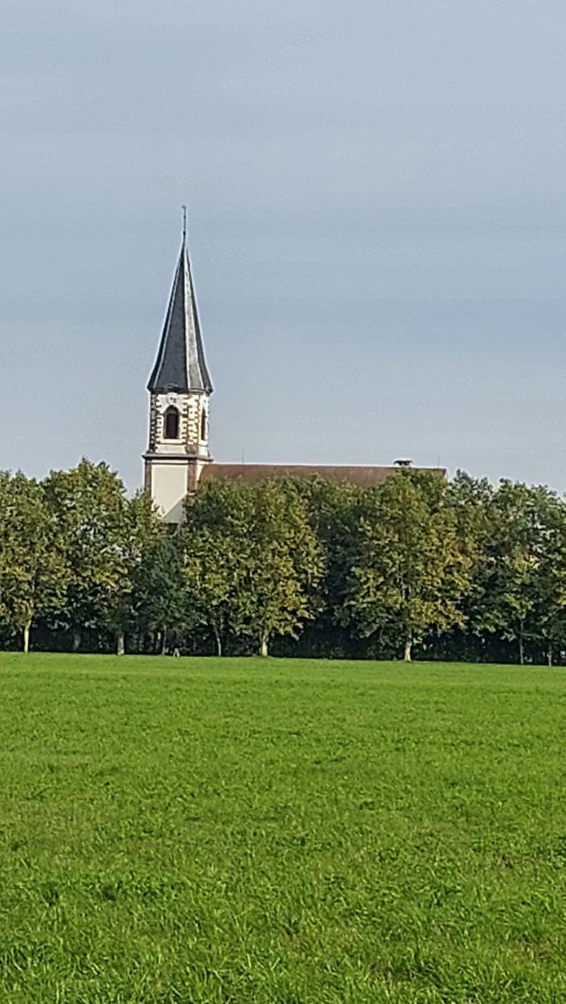 Gite "Le Piemont Des Vosges " Stotzheim Exterior photo