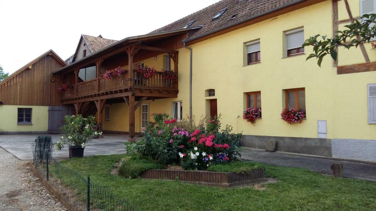 Gite "Le Piemont Des Vosges " Stotzheim Exterior photo
