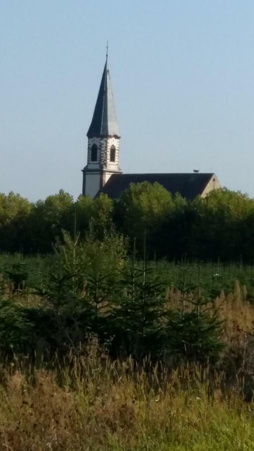 Gite "Le Piemont Des Vosges " Stotzheim Exterior photo