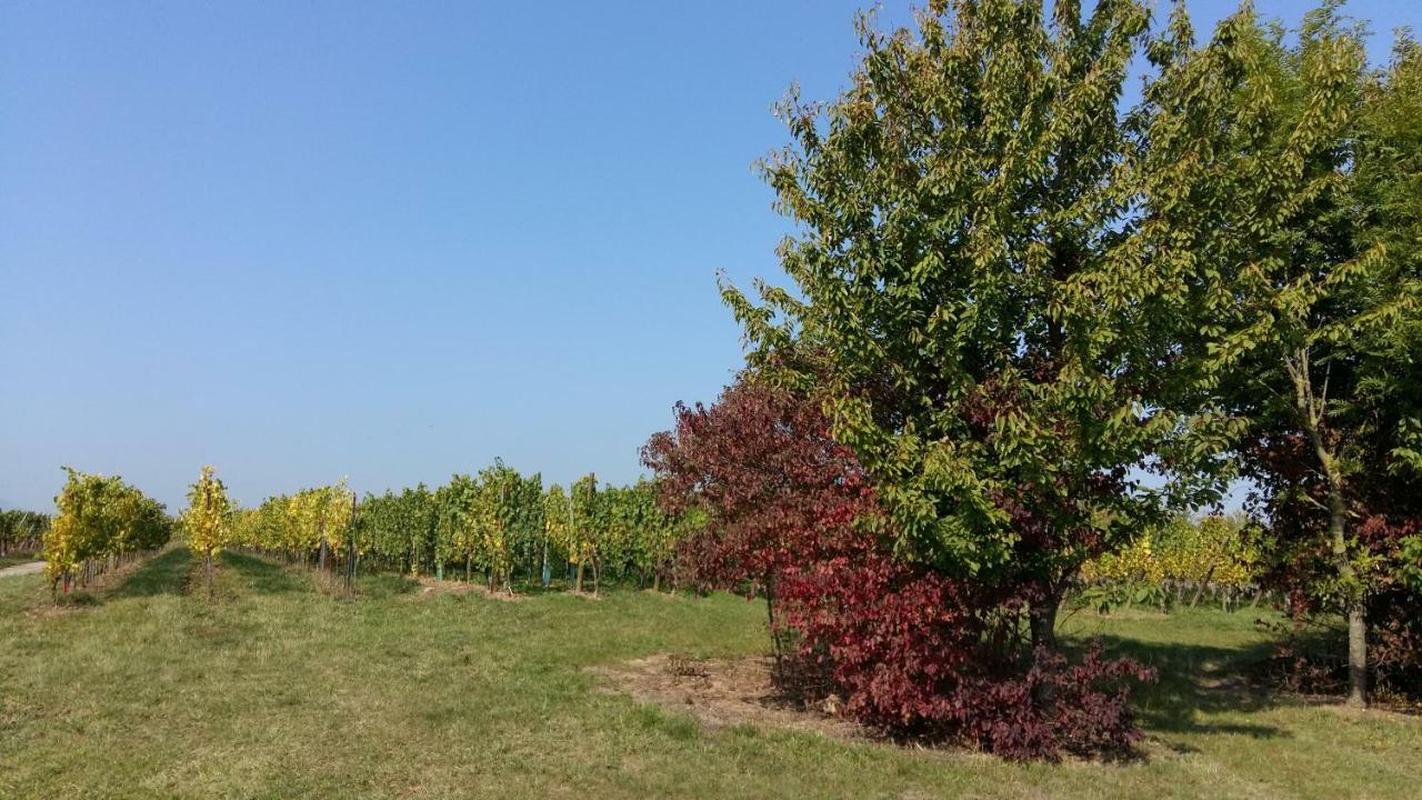 Gite "Le Piemont Des Vosges " Stotzheim Exterior photo